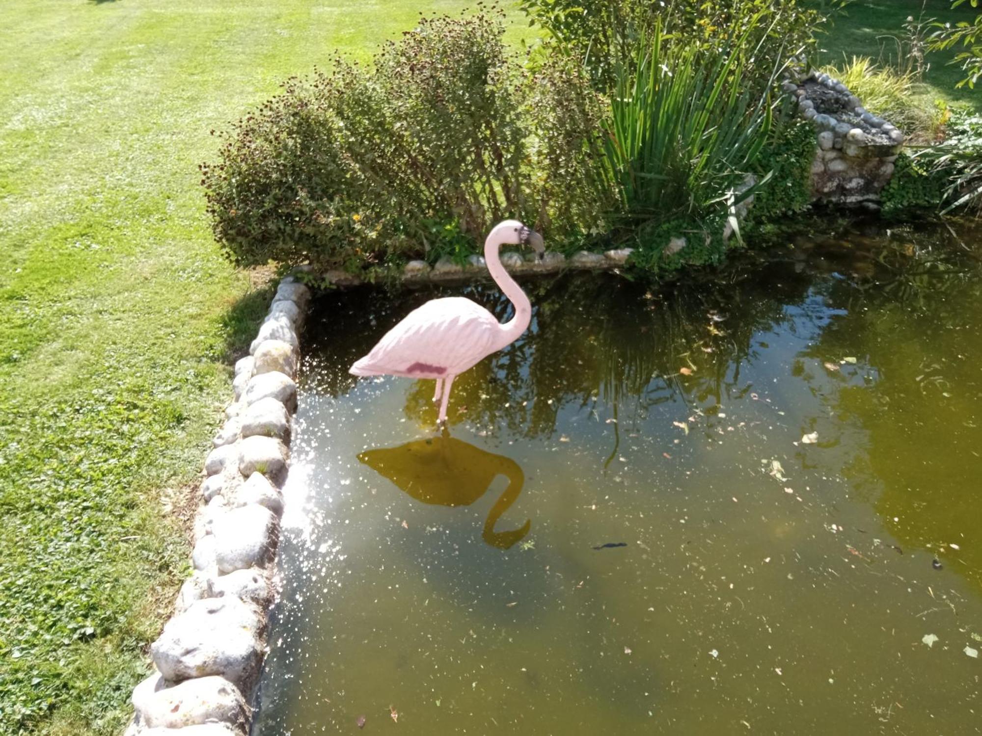 Repos Et Tranquillité G Appartement Cayeux-sur-Mer